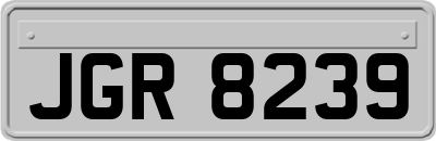 JGR8239