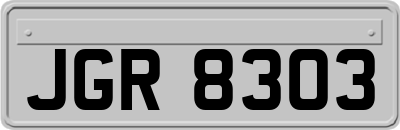 JGR8303