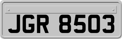 JGR8503