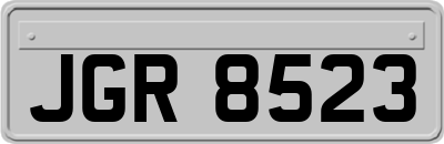 JGR8523