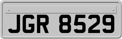 JGR8529
