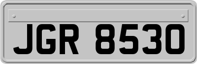 JGR8530