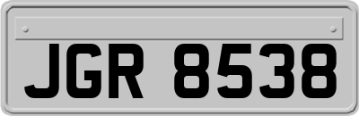 JGR8538