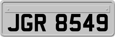 JGR8549
