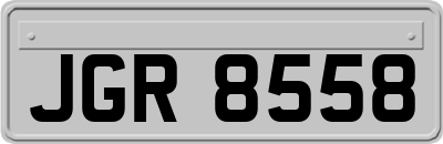 JGR8558