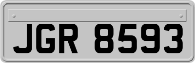 JGR8593