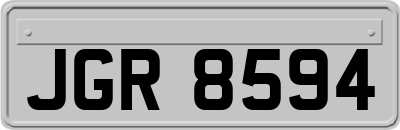 JGR8594