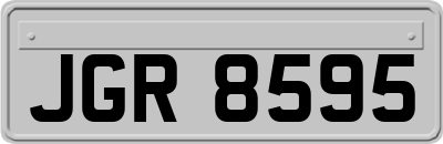 JGR8595