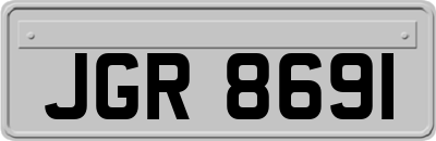 JGR8691