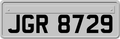 JGR8729