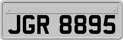 JGR8895