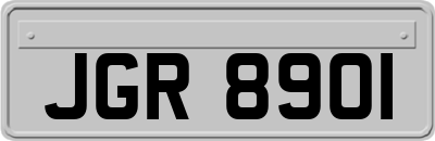 JGR8901
