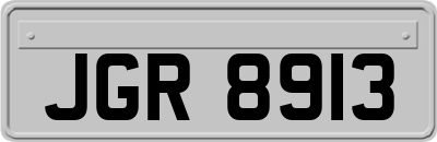 JGR8913