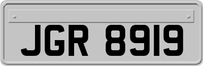JGR8919