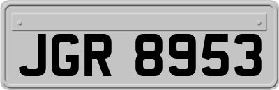 JGR8953