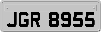 JGR8955
