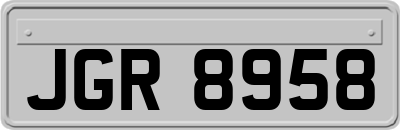 JGR8958