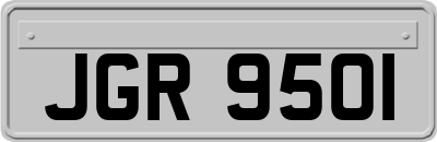 JGR9501