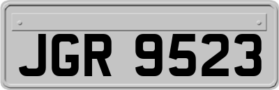 JGR9523