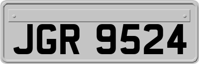 JGR9524