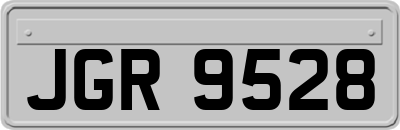 JGR9528