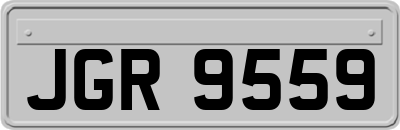 JGR9559
