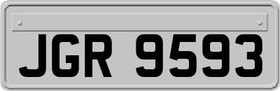 JGR9593