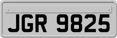JGR9825