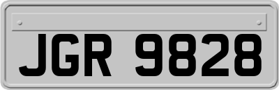 JGR9828