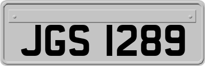 JGS1289