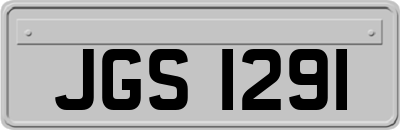 JGS1291