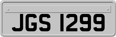 JGS1299