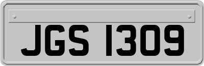 JGS1309