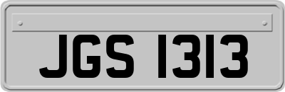 JGS1313