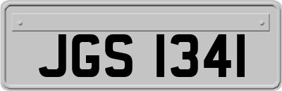 JGS1341