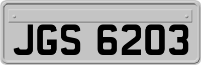 JGS6203