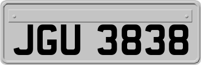 JGU3838
