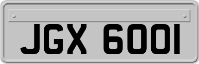 JGX6001