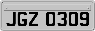 JGZ0309