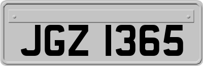 JGZ1365