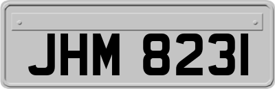 JHM8231