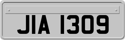 JIA1309