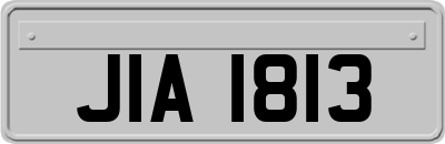 JIA1813