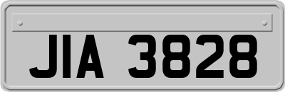 JIA3828