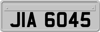 JIA6045