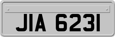 JIA6231