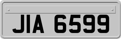 JIA6599