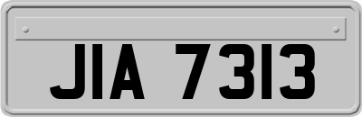 JIA7313