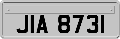 JIA8731