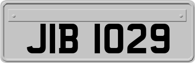 JIB1029